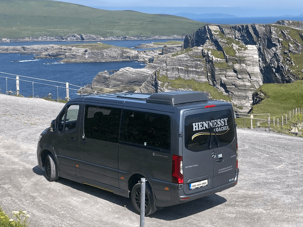 9 Seater Bus Baby Sprinter